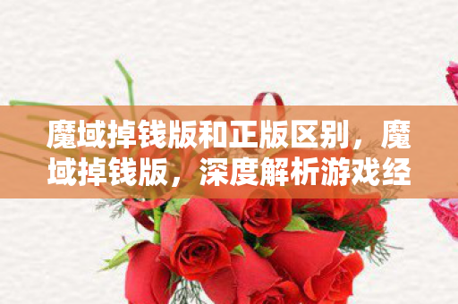 魔域掉钱版和正版区别，魔域掉钱版，深度解析游戏经济失衡现象