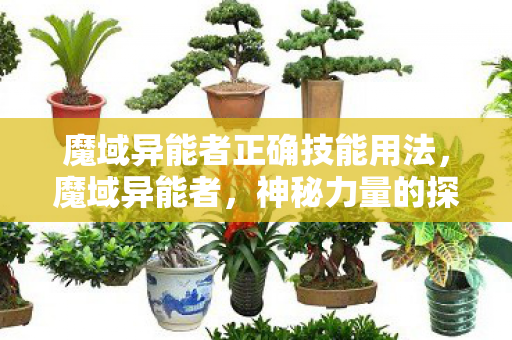 魔域异能者正确技能用法，魔域异能者，神秘力量的探索与解析