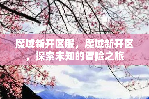魔域新开区服，魔域新开区，探索未知的冒险之旅