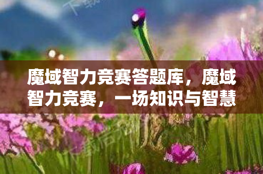 魔域智力竞赛答题库，魔域智力竞赛，一场知识与智慧的较量