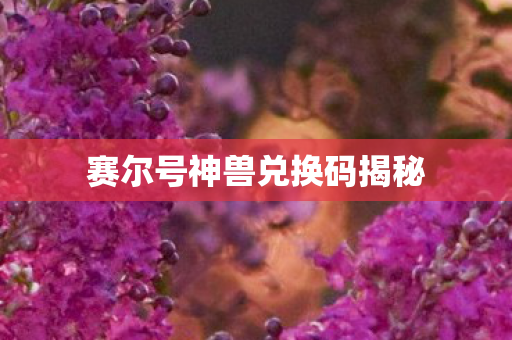 赛尔号神兽兑换码揭秘