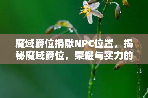 魔域爵位捐献NPC位置，揭秘魔域爵位，荣耀与实力的象征
