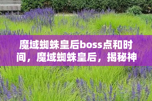 魔域蜘蛛皇后boss点和时间，魔域蜘蛛皇后，揭秘神秘面纱下的传奇女王