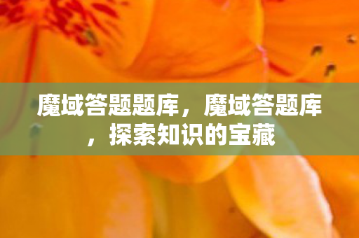 魔域答题题库，魔域答题库，探索知识的宝藏
