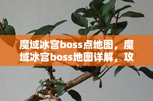 魔域冰宫boss点地图，魔域冰宫boss地图详解，攻略与战斗策略