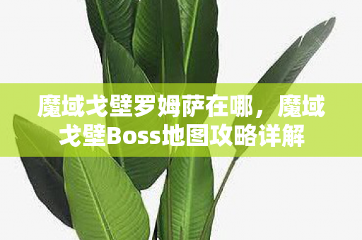 魔域戈壁罗姆萨在哪，魔域戈壁Boss地图攻略详解