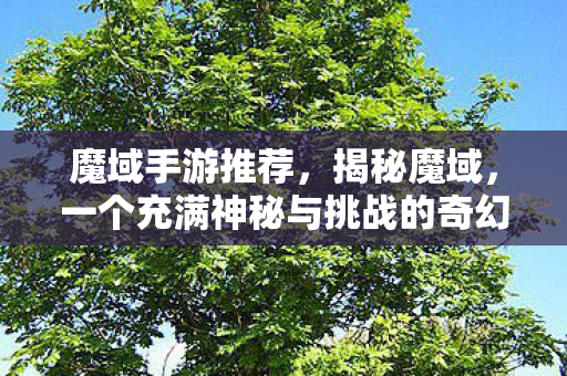 魔域手游推荐，揭秘魔域，一个充满神秘与挑战的奇幻世界