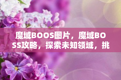 魔域BOOS图片，魔域BOSS攻略，探索未知领域，挑战强大BOSS