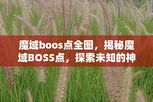 魔域boos点全图，揭秘魔域BOSS点，探索未知的神秘领域