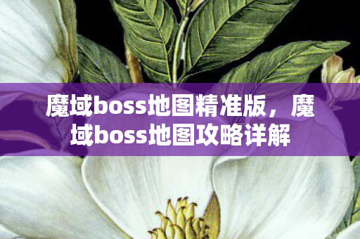 魔域boss地图精准版，魔域boss地图攻略详解