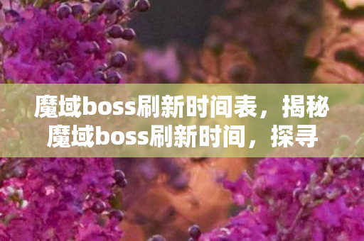 魔域boss刷新时间表，揭秘魔域boss刷新时间，探寻未知的冒险之旅