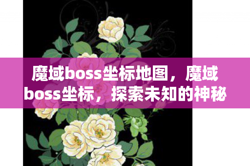 魔域boss坐标地图，魔域boss坐标，探索未知的神秘领域