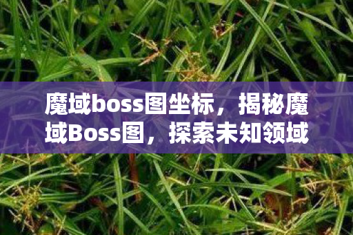 魔域boss图坐标，揭秘魔域Boss图，探索未知领域的神秘之旅