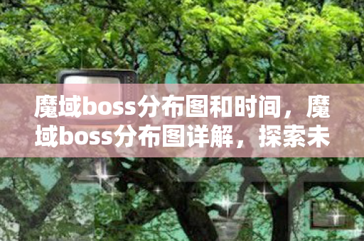 魔域boss分布图和时间，魔域boss分布图详解，探索未知的神秘领域