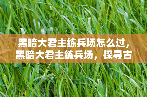 黑暗大君主练兵场怎么过，黑暗大君主练兵场，探寻古老传说中的神秘之地