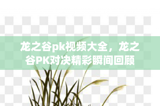 龙之谷pk视频大全，龙之谷PK对决精彩瞬间回顾