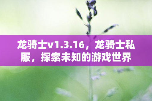 龙骑士v1.3.16，龙骑士私服，探索未知的游戏世界