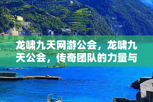 龙啸九天网游公会，龙啸九天公会，传奇团队的力量与荣耀
