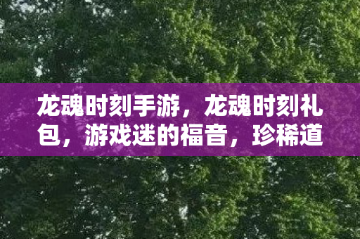 龙魂时刻手游，龙魂时刻礼包，游戏迷的福音，珍稀道具大放送