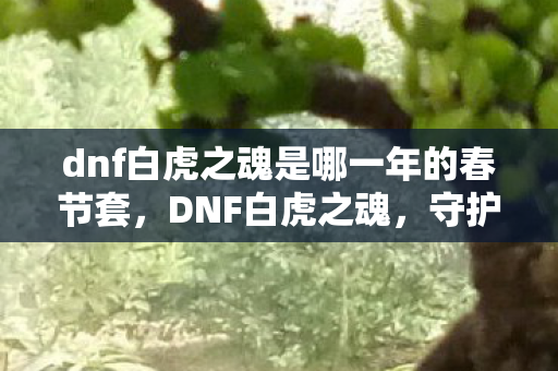 dnf白虎之魂是哪一年的春节套，DNF白虎之魂，守护与荣耀的传奇