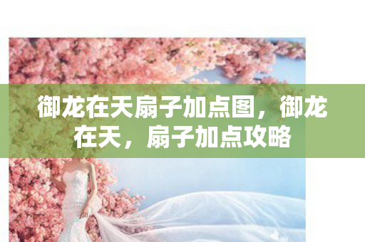 御龙在天扇子加点图，御龙在天，扇子加点攻略