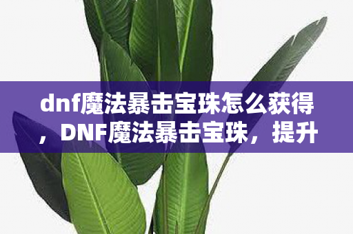 dnf魔法暴击宝珠怎么获得，DNF魔法暴击宝珠，提升战斗力的神秘宝物