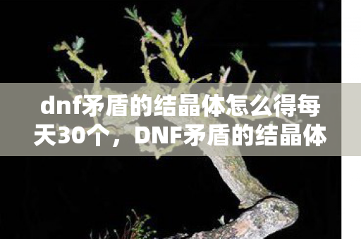 dnf矛盾的结晶体怎么得每天30个，DNF矛盾的结晶体获取攻略，打造强力角色的必备材料