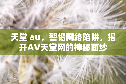 天堂 au，警惕网络陷阱，揭开AV天堂网的神秘面纱