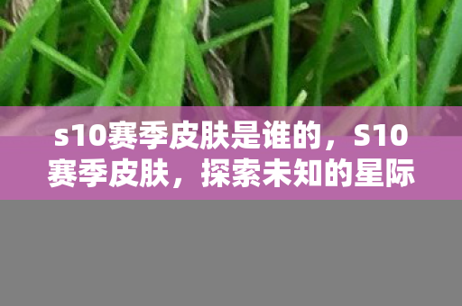 s10赛季皮肤是谁的，S10赛季皮肤，探索未知的星际之旅