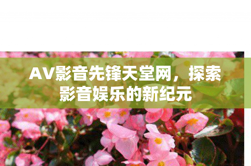 AV影音先锋天堂网,探索影音娱乐的新纪元 AV影音先锋天堂网,探索影音娱乐的新纪元