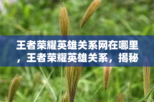 王者荣耀英雄关系网在哪里，王者荣耀英雄关系，揭秘峡谷中的爱恨情仇