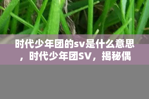 时代少年团的sv是什么意思，时代少年团SV，揭秘偶像团体的全新互动形式