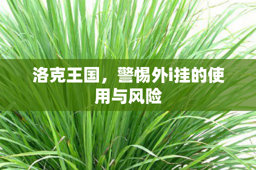 洛克王国,警惕外i挂的使用与风险 洛克王国,警惕外i挂的使用与风险