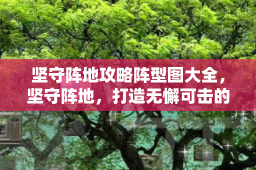 坚守阵地攻略阵型图大全，坚守阵地，打造无懈可击的攻略阵型图