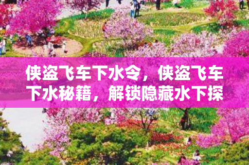 侠盗飞车下水令，侠盗飞车下水秘籍，解锁隐藏水下探索技巧