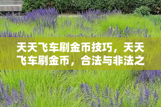 天天飞车刷金币技巧，天天飞车刷金币，合法与非法之间的灰色地带