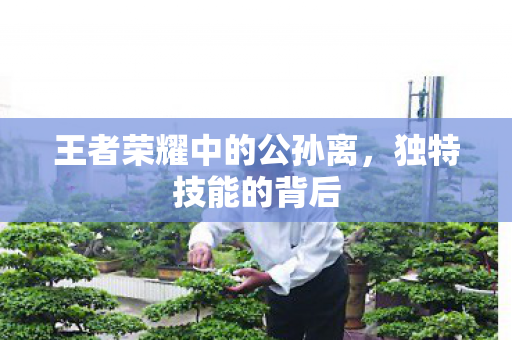 王者荣耀中的公孙离，独特技能的背后