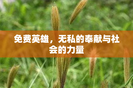 免费英雄，无私的奉献与社会的力量