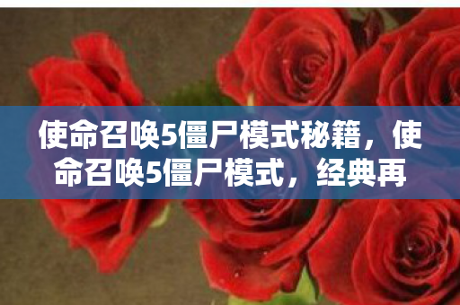 使命召唤5僵尸模式秘籍，使命召唤5僵尸模式，经典再现，恐怖与策略并存