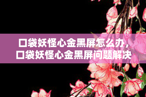 口袋妖怪心金黑屏怎么办，口袋妖怪心金黑屏问题解决方案