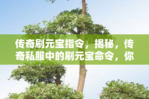 传奇刷元宝指令，揭秘，传奇私服中的刷元宝命令，你真的了解吗？
