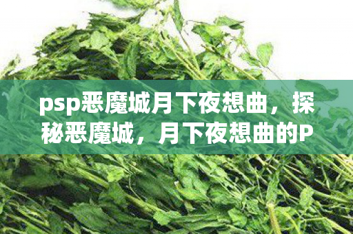 psp恶魔城月下夜想曲，探秘恶魔城，月下夜想曲的PSP版魅力