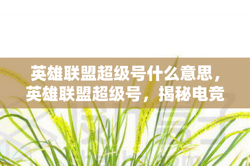 英雄联盟超级号什么意思，英雄联盟超级号，揭秘电竞界的神秘存在