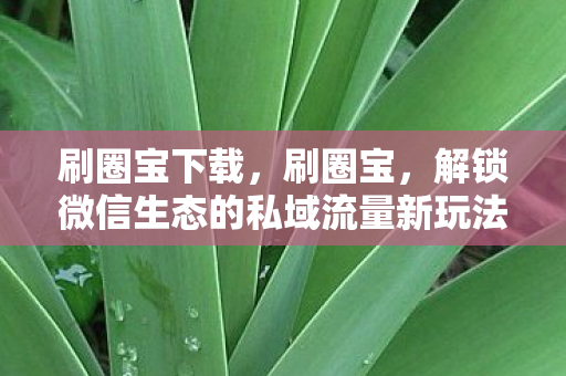 刷圈宝下载，刷圈宝，解锁微信生态的私域流量新玩法