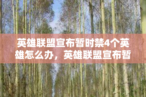 英雄联盟宣布暂时禁4个英雄怎么办，英雄联盟宣布暂时禁用四个英雄，玩家反应各异