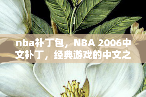 nba补丁包，NBA 2006中文补丁，经典游戏的中文之旅
