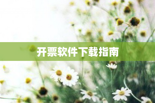 开票软件下载指南