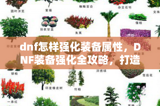 dnf怎样强化装备属性，DNF装备强化全攻略，打造无敌战力，轻松提升装备强度