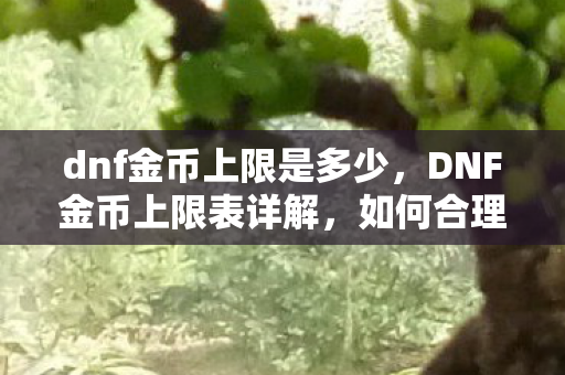 dnf金币上限是多少，DNF金币上限表详解，如何合理规划你的财富