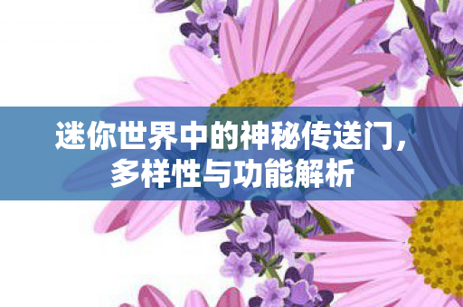 迷你世界中的神秘传送门，多样性与功能解析